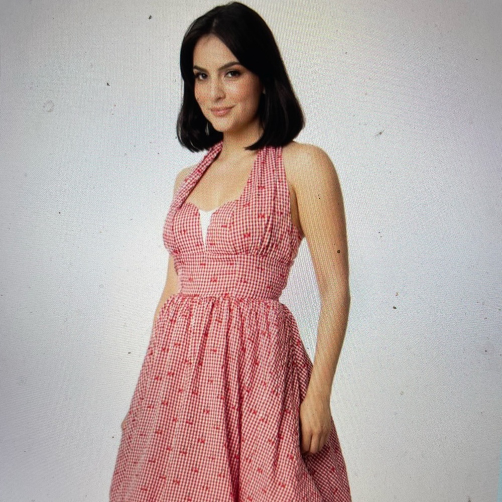 Unique Vintage Sheila Gingham and Cherry Swing Dress